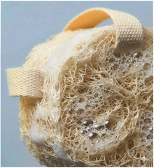 Loofah
